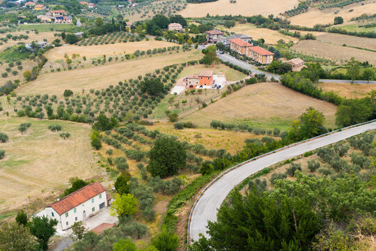 Serene countryside landscape with rolling hills and olive groves in tuscany in Verucchio, Italy.
