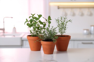 Different aromatic herbs in pots on white marble countertop in kitchen