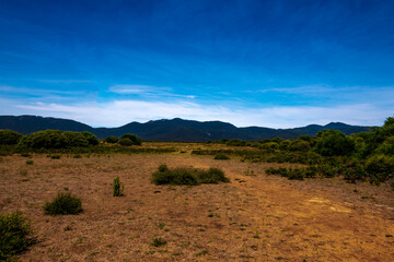 landscape with blue sky