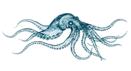 Water Octopus Flowing Gracefully Against a Clean White Background