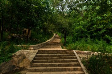 Obraz premium stairway to heaven