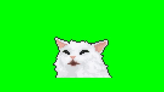 Meowing cat, pixel art animation meme. 
