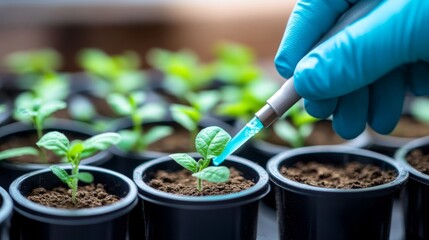 Plant Growth Experiment in a Laboratory Setting