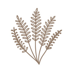 Hart's Tongue Fern Simple Line Art Illustration