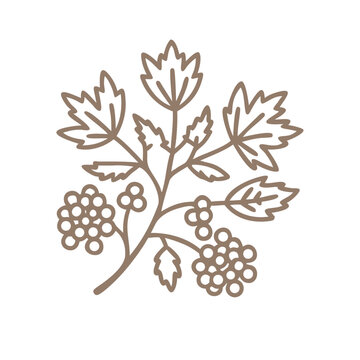 brown leaves and berries on white clip art preview