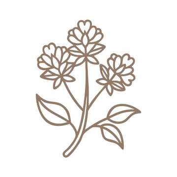 brown clover plant outline on white clip art preview