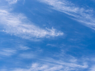 Fototapeta premium 春の空 青空と巻雲を見上げる09