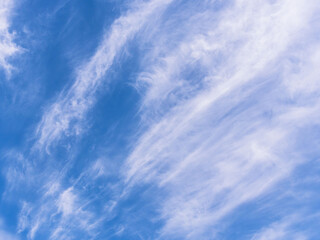 春の空　青空と巻雲を見上げる6