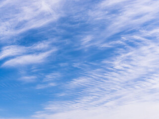 春の空　青空と巻雲を見上げる28