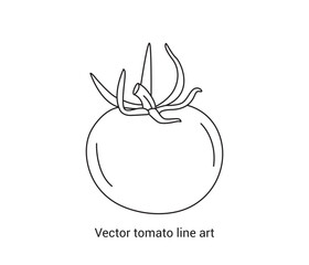  vector hand drawn tomato continuous line drawing