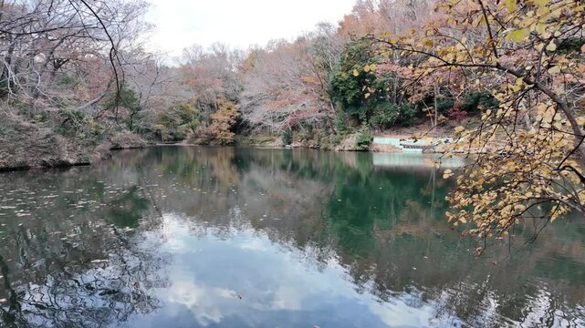 ゆったりとした時が流れる湖 | 秦野 | 震生湖