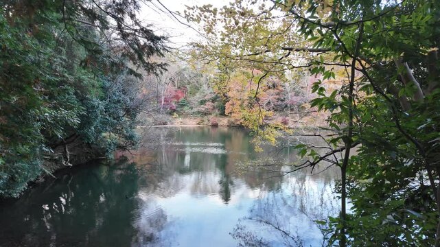 ゆったりとした時が流れる湖 | 秦野 | 震生湖