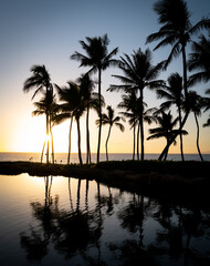 Silhouette of tropical palm trees reflected in a lagoon at sunset on the beaches of Maui Hawaii