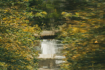 Abstract reflection of a weeping willow.