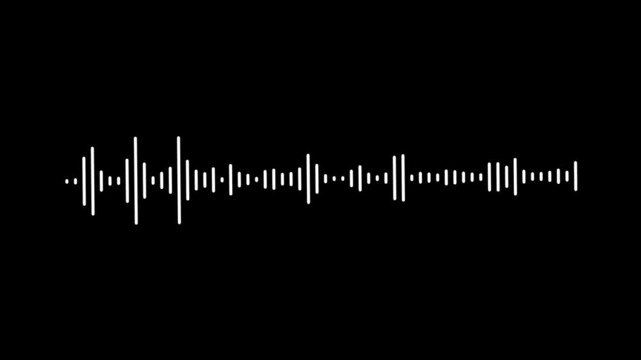 White audio waveform spectrum animation, Sound wave animation, classic graphic sound equalizer,
White and black audio visualization effect. digital audio spectrum wave effect
