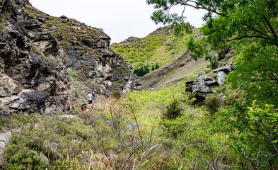 Beautiful mountainous landscape hills new zealand summer green yellow vast view scenery otago stunning paradise