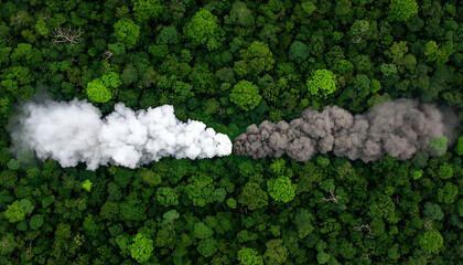 Environmental pollution crisis rainforest aerial view smoke emission nature ecology