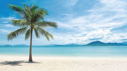 Fototapeta premium serene beach scene with palm tree and clear water