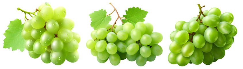 Set of fresh green grapes in clusters isolated on transparent background for fruit and healthy eating concepts