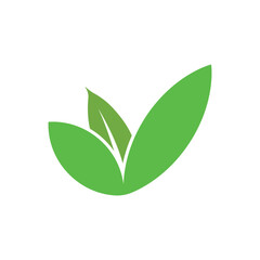 green leaf logo vector design template