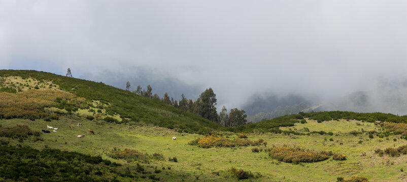 Scenic mountain landscape in Central Madeira Island with low level clouds and fog