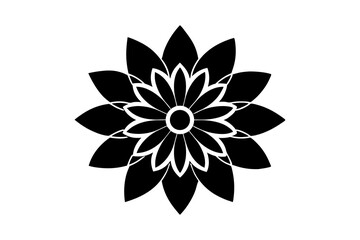 black and white flower