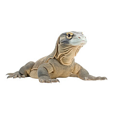 Obraz premium Lizard with textured skin and curious expression, resting on surface