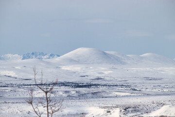 Snow on mountains on the Denali Highway on a sunny spring day in Alaska. 