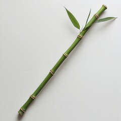 Fototapeta premium A green bamboo stalk with leaves against a neutral background, showcasing its natural beauty and simplicity.