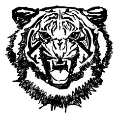 Black lines of a tiger's face