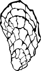 Outline oysters