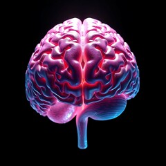 Abstract image of human brain anatomy