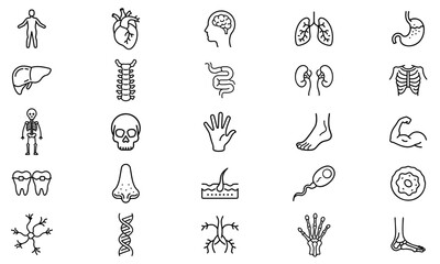 Obraz premium A detailed anatomy-themed outline icon set featuring organs, muscles, bones, and human body parts. Perfect for medical apps, biology studies, and healthcare designs.