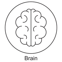 Brain Icon, Unlocking the Power of the Brain, The Science Behind a Smarter Brain, vector