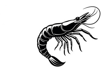 Black and White Shrimp Vector Illustration