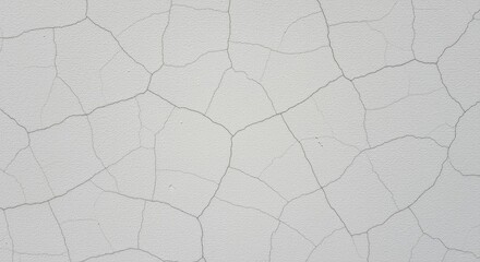 Detailed close-up of a cracked white surface displaying a natural and irregular network of lines, backgrounds or conceptual representations of fragility, aging, or environmental wear and tear.
