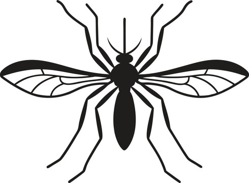 Close-up of a mosquito sucking blood isolated on a white background