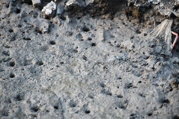 A textured close-up of a damp mudflat, riddled with numerous small, irregular holes and impressions, likely from burrowing crabs or other marine life. This raw, organic surface offers a versatile