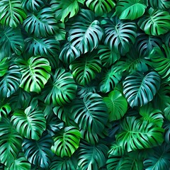 Lush tropical monstera leaves wall pattern background