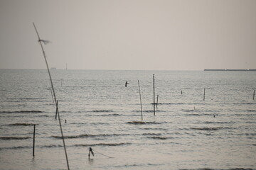 A lone figure stands knee-deep in the vast, rippling sea, surrounded by wooden poles marking the shallow waters of an aquaculture farm, stretching towards a hazy horizon