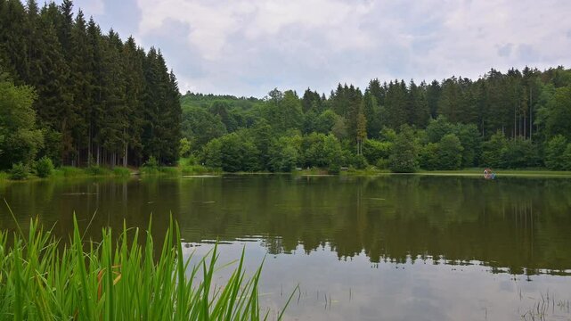 Rothsee, Wald, Himmel, Sommer, Bischofsheim in der Rh&ouml;n, Rh&ouml;n, Bayern, Deutschland