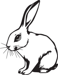 Rabbit. Hand drawn vector illustration