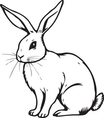 Rabbit. Hand drawn vector illustration
