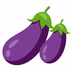 A eggplant two on white background