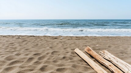 Fototapeta premium Isolated piece of driftwood resting on the sandy beach with the ocean waves rolling in nearby