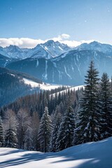 skiers on a snowy slope with a view of mountains in the distance