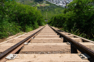 Fototapeta premium Wooden railway steps climbing steep terrain on the Koko Head trail.