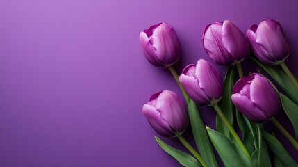 Obraz premium A purple flower bouquet with six flowers is arranged on a purple background
