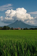 Fototapeta premium arafed view of a large mountain in the distance with a field of grass
