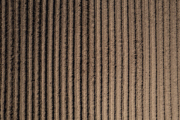 Plowed Furrows: Preparing the Soil for Planting